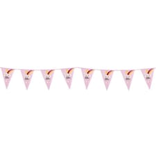 Baby Girl Plastic Bunting 6m
