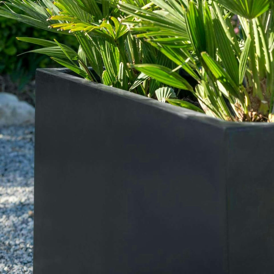 image 1 of Primrose Polystone Small Black Trough Planter 80cm