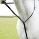 image 2 of Blenheim Leather Horse Standing Martingale - Black - Pony