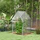 image 2 of Outsunny Tomato Greenhouse with 2 Zipped Doors, Outdoor Green House, Clear