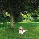 image 3 of True Products Green Plastic Safety Barrier Mesh Fence Netting Standard Grade 80gsm 1m x 25m Green