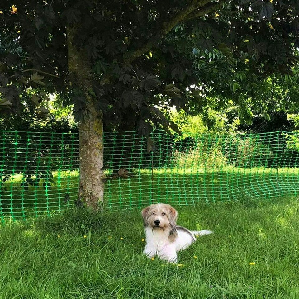 image 1 of True Products Green Plastic Safety Barrier Mesh Fence Netting Standard Grade 80gsm 1m x 25m Green