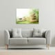image 2 of Rock Garden (Canvas Print)