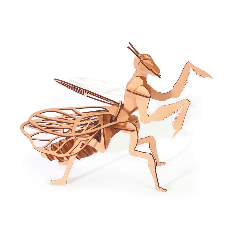 image 1 of 3D Wooden Model Kit Praying Mantis - Craft Gifts for 8 yrs +