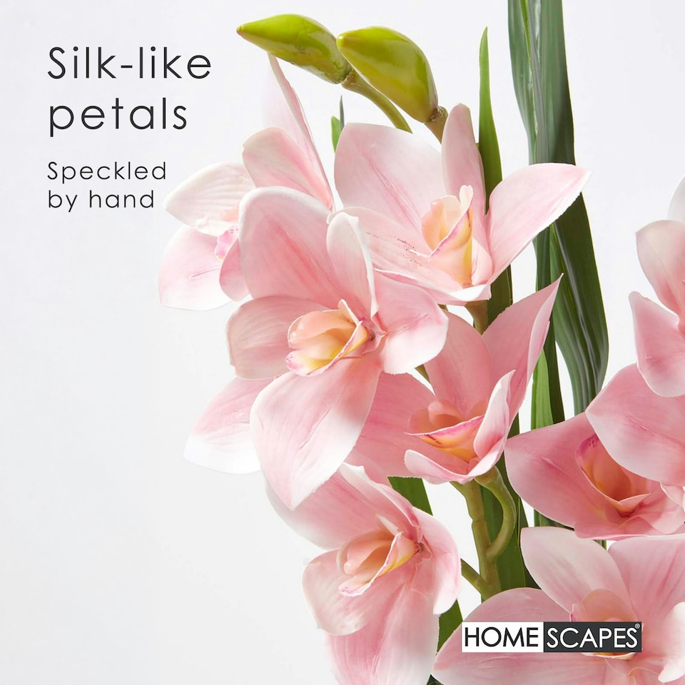 image 1 of Homescapes Pink Orchid 58 cm Cymbidium in Cement Pot Extra Large, 2 Stems