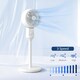 image 4 of HOMCOM 9 Inch Air Circulator Fan 70 Degree Oscillation Carry Handle White