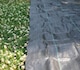 image 4 of Gr8 Garden Heavy Duty Weed Control Fabric Membrane Garden Landscape Ground Cover Sheet 2m Wide x 10m Length