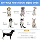 image 2 of Pawhut Elevated Pet Bed Cool Cot Dog Sleep Folding Indoor Outdoor Camping 76Lcm