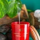 image 7 of Nicola Spring Soy Wax Scented Candle - 130g - Wild Fig & Cassis | Red | Red