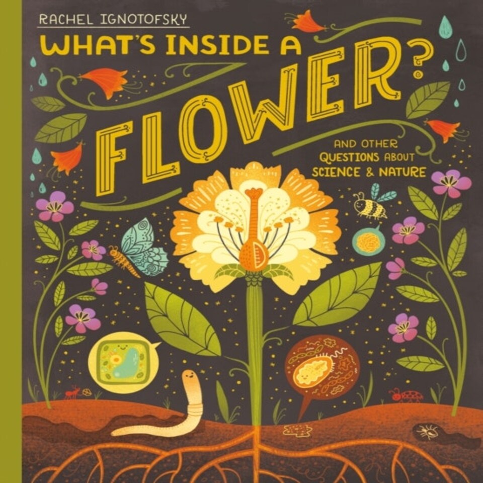 Whats Inside A Flower