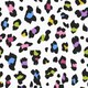 image 2 of Envy Big Cat - Confetti Wallpaper Multi | Multi
