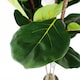 image 2 of 180cm Premium Artificial Fiddle Leaf Fig Tree | Green | 6ft