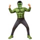 image 1 of Hulk Boys Deluxe Costume - Green/Black - L L