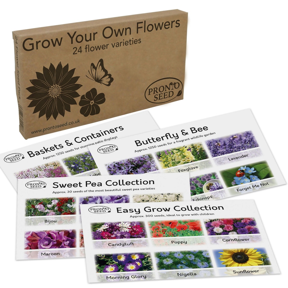 image 1 of Pronto Seed Flower Bumper Pack - 24 Varieties, Over 3,100 Flower Seeds for Beds, Pots and Baskets