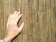 image 3 of Bamboo Cane Screening Roll Natural Fencing 3.0m x 2.0m | Brown | Brown