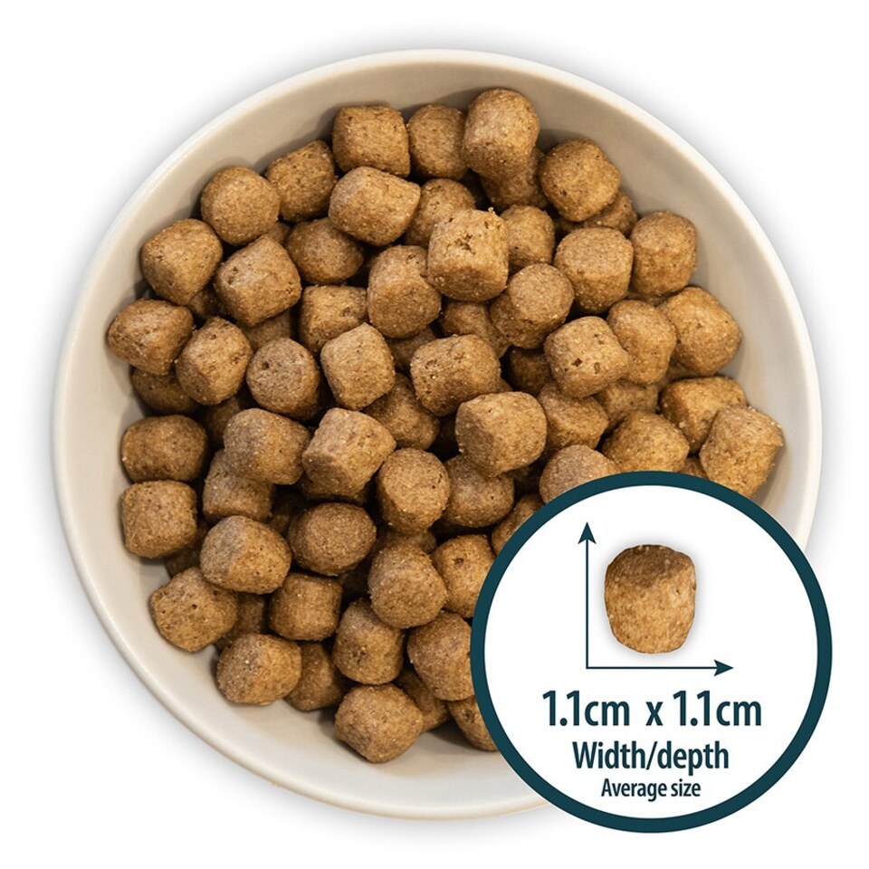 image 1 of Burns Original Puppy Dry Dog Food Chicken & Rice 6kg