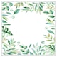 image 1 of Light botanical leaves (Picture Frame) White | M