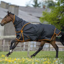 Gallop Equestrian Trojan Dual 100 Turnout Rug & Neck Set Red | Size: 6ft 9
Colour: Navy/Red