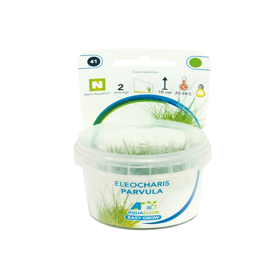 image 1 of Aquafleur Easy Grow 41 Eleocharis Parvula