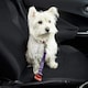 image 2 of Dog & Cat Seat Belt Safety Travel Restraint, Harness Clip For Car Van Lead Red