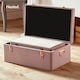 image 3 of BTFY Set of 2 Pink Velvet Storage Trunks, Rose Gold Hardware