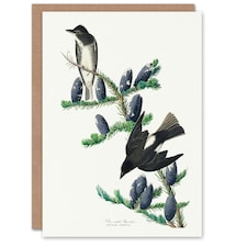 John James Audubon Art Card Olive Sided Flycatcher Bird on Fir Tree