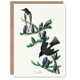 image 1 of John James Audubon Art Card Olive Sided Flycatcher Bird on Fir Tree
