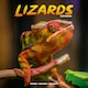 image 1 of Lizards 2026 Calendar | Square Wall Calendar | Reptile Gift | Plastic Free Packaging | by Avonside Publishing