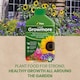 image 8 of Vitax Liquid Growmore 1L Concentrated All Purpose Plant Feed for Lawns Vegetables Flowers NPK Fertiliser Growth Boost
