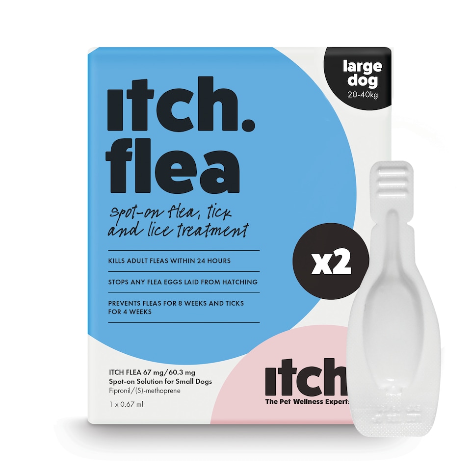 image 1 of Itch Flea Large Dog Flea & Tick Spot On Treatment 2 Pipette (20-40kg)