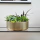 image 2 of Hammered Bowl Planter - Iron - L30 x W30 x H21 cm - Black/Gold Gold