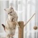 image 8 of PawHut 121cm Cat Tree Tower Activity Centre with Scratching Post Brown
