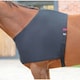 image 2 of Shires Stretch Anti-Rub Horse Vest - Black - Cob