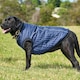 image 2 of Weatherbeeta Puffer Dog Coat - Navy - 25cm