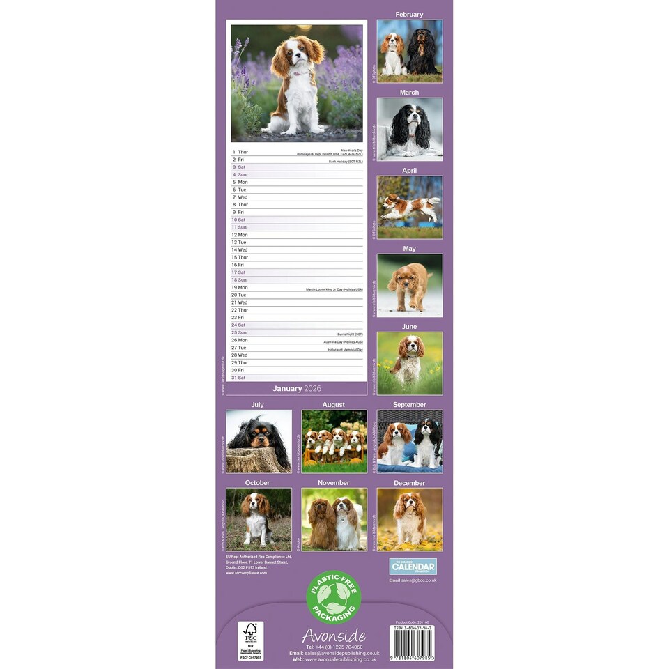 image 1 of Cavalier King Charles Spaniel Slim 2026 Calendar | Slimline Wall Calendar | Dog Breed Gift | Plastic Free Packaging | Avonside Publishing Ltd