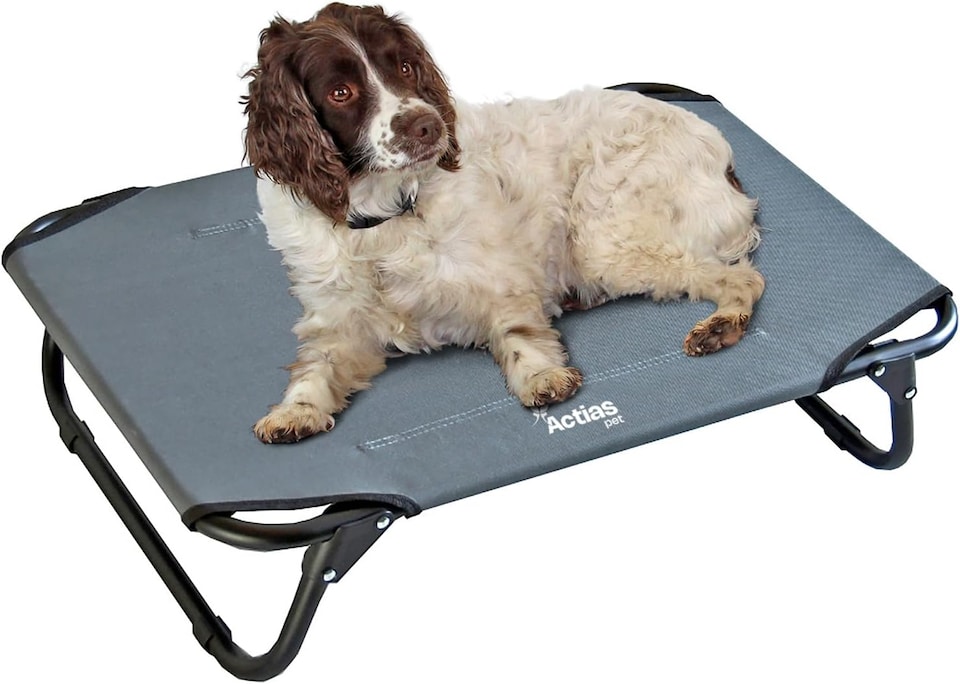 image 1 of Actiaspet Elevated Folding Dog Bed Indoor Outdoor Pet Cot Steel Frame (Grey, Medium)