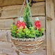 image 4 of Best Artificial 25cm / 10 Inch Red Hyacinth Hanging Basket - Suitable for Outdoor Use - Weather & Fade Resistant | Red | Red | 1