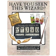 Harry Potter Wanted Poster Have You Seen This Wizard Cardboard White Selfie Frame With Props 87cm
