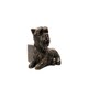 image 3 of Yorkshire Terrier Plant Pot Feet - Set of 3 - L7 x W4.5 x H6.5 cm Grey