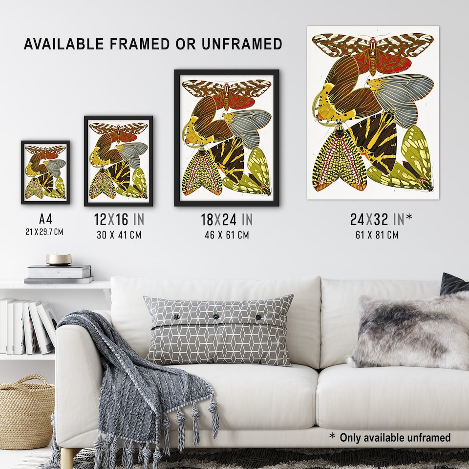 image 1 of Butterfly Illustration Vintage Wall Art Print Eugene Seguy 24x32"