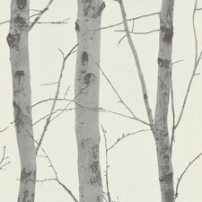 Erismann Birch Trees Wallpaper - Cream/Grey - 10cm x 53cm Cream