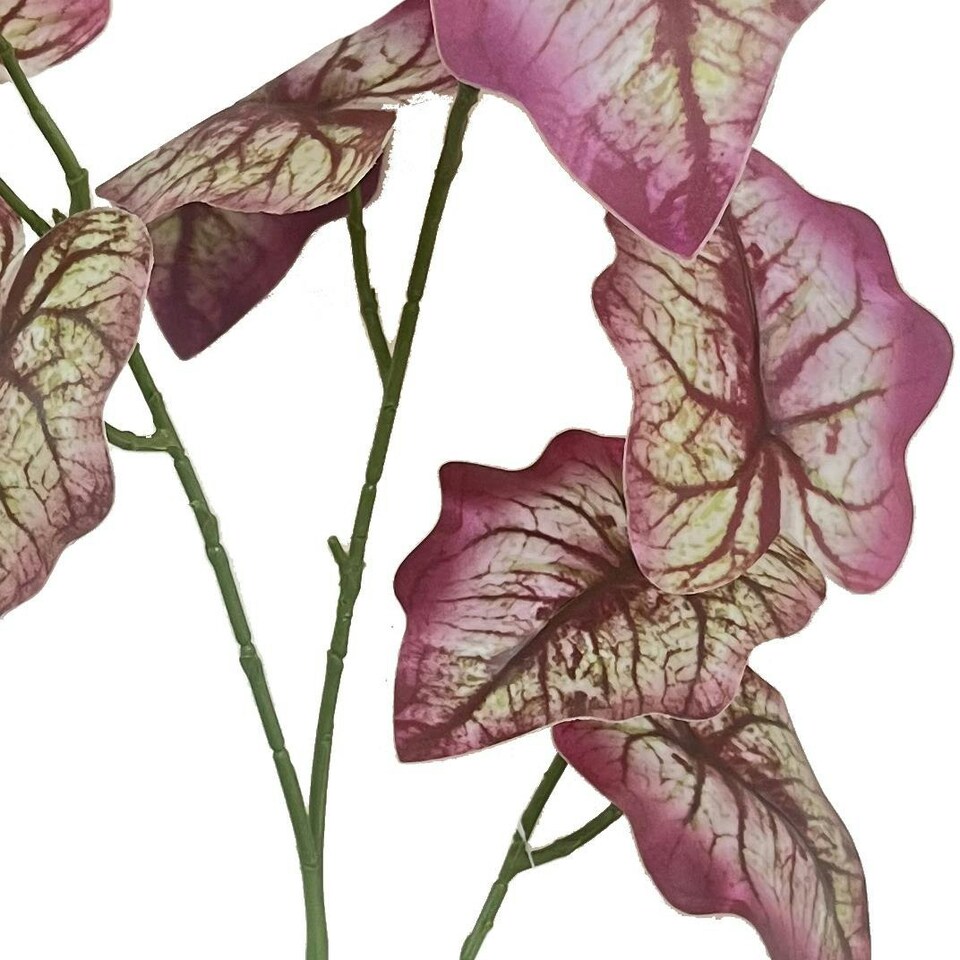 image 1 of 85cm Artificial Purple Leaf Foliage