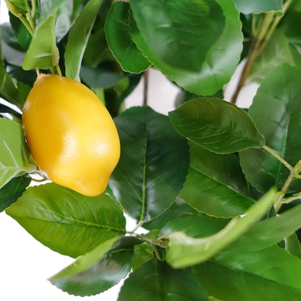 image 1 of Large Lemon Tree Artificial 120cm Premium Plant | Green | 4ft