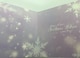 image 3 of 3D Holographic Wonderful Christmas Me to You Bear Christmas Card