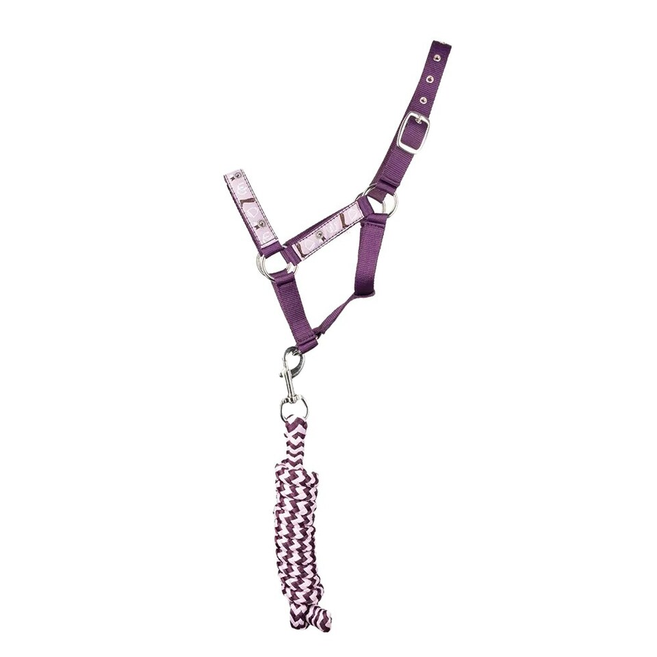 image 1 of Little Rider Giddy Up Gymkhana Horse Head Collar & Lead Rope - Purple/Lilac - Cob