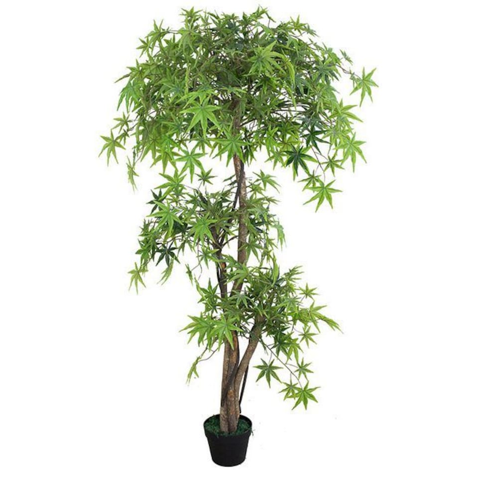 image 1 of Artificial Trees 150cm Japanese Acer Trunk | Green | 5ft