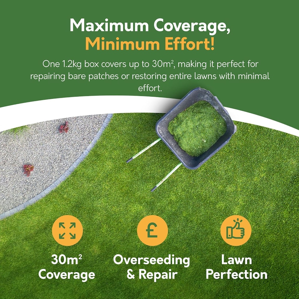 image 1 of Pronto Seed Plush Lawn Seed & Feed Lawn Conditioner 1.2kg - Grass Seed & Fertiliser Mix | Multi | Green lawn conditioning blend | 1