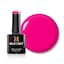 Fuchsia Frenzy