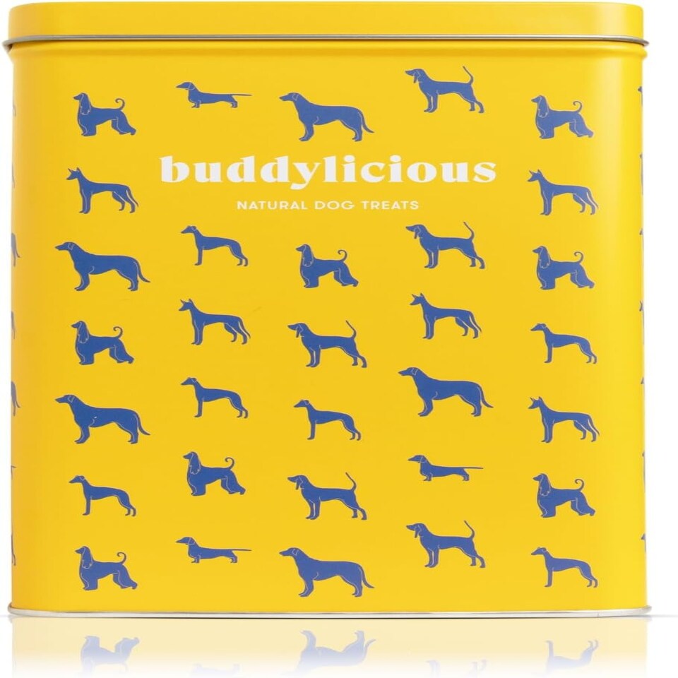 Buddylicious Buddylicious Gift Beef Boar Adult Wet Dog pet food packaging