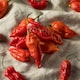 image 1 of Grow Your Own Vegetable Chilli Pepper Ghost Chilli 9cm Pot x 3